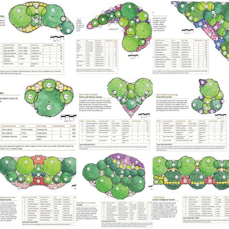 Maryland, DC and Virginia Native Plants: Native Garden Plans Galore!