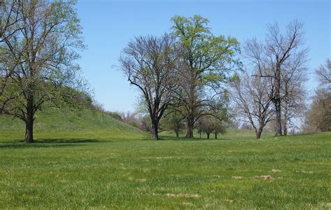 Cahokia Mounds State Historic Site | Been There, Seen That