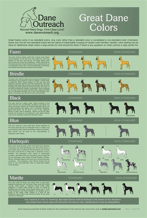 About Our Breed - Hidden Acre Dane's