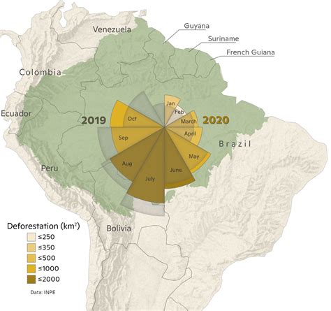 【ベストコレクション】 brazil amazon rainforest deforestation graph 194883 - Saesipapictps8