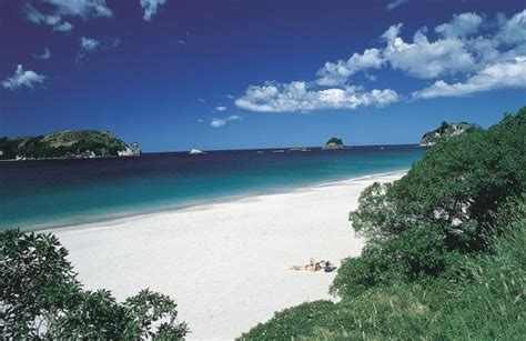 Auckland Beautiful beaches - Top 10 Beaches in Auckland, New Zealand ...