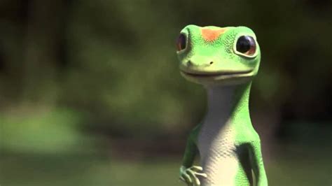 🔥 Download Geico Gecko Laughing Fit Commercial Behind The Scenes by @michaelwallace | GEICO ...