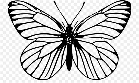 Free Butterfly Outline Transparent, Download Free Butterfly Outline Transparent png images, Free ...