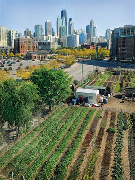 Financing Urban Agriculture: A Field of Possibilities