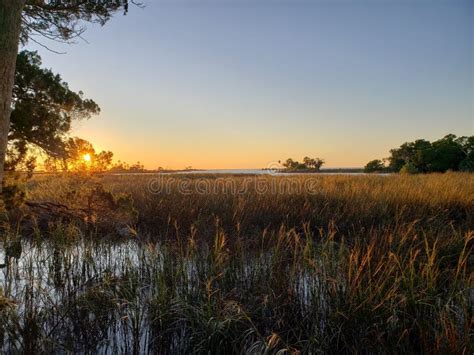 Florida Gulf Coast Sunset Fishing Marsh Wildlife Preserve Stock Photo ...