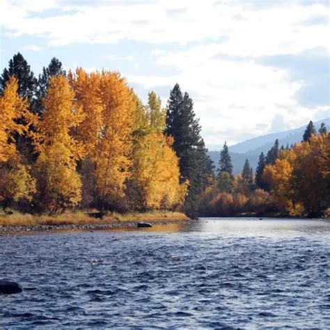 Where to Go for Fall Colors in Montana | Recommended By Montanans