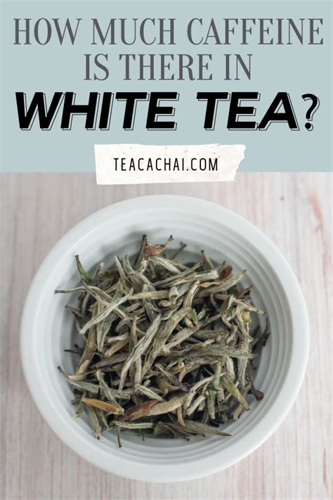 Caffeine in White Tea: Myth-Busting and Facts - Tea Cachai