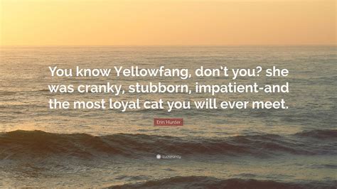 Erin Hunter Quote: “You know Yellowfang, don’t you? she was cranky, stubborn, impatient-and the ...