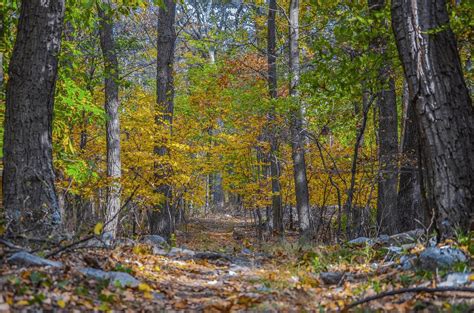 11 Best Scenic + Historical Harpers Ferry Hiking Trails (2023)