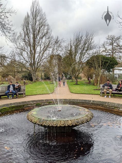 AboutOrchids » Blog Archive » More from Oxford Botanic Garden