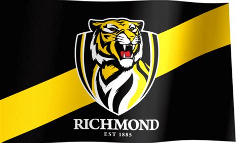 Richmond Football Club Flag GIF - All Waving Flags