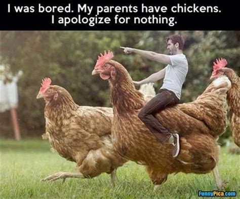 Chicken Challenge! post as many chicken memes before October! | BackYard Chickens - Learn How to ...