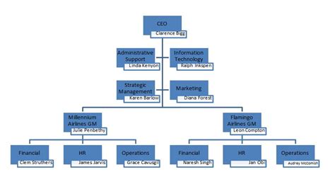 Flamingo Air and Millennium Airlines: Organizational Structure | Essay ...