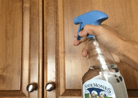 How to Remove Mold from Kitchen Cabinets - EasyHomeTips.org