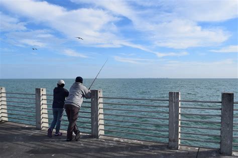 5 Unique Fishing Piers in St. Petersburg, FL