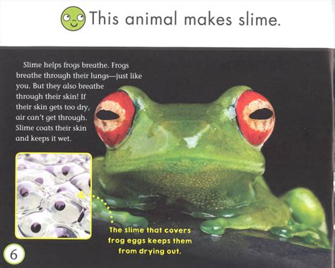 Slime Book (Side by Side) | Children's Press | 9780531136492