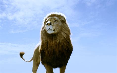 Download Tilda Swinton Movie The Chronicles Of Narnia: The Voyage Of The Dawn Treader HD Wallpaper