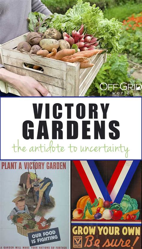 Victory Gardens: the Antidote to Uncertainty - Off Grid World