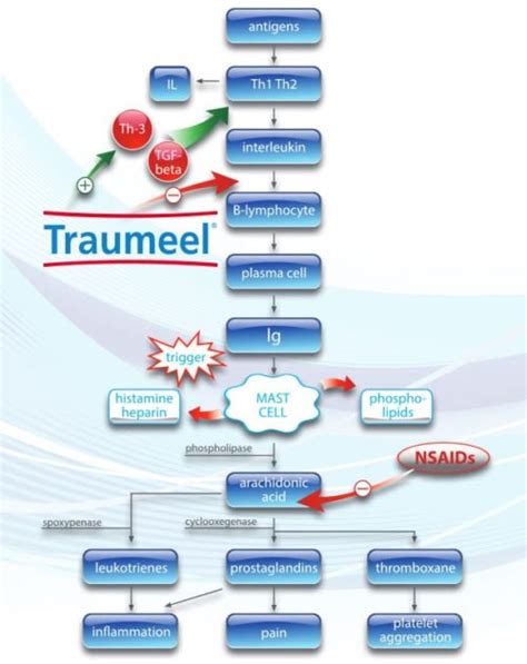 Traumeel® – MediNatura