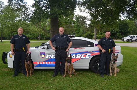 Harris County Precinct 4 Constable’s Office welcomes three new K-9s to ...