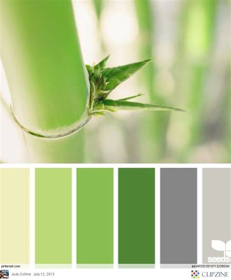 30+ Green Grey Colour Palette – DECOOMO