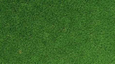 Premium Photo | Detailed green grass lawn texture Top View 3D Rendering