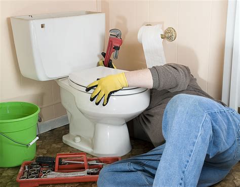 How to Fix a Squeaky Toilet | Toilet, Toilet repair, Plumbing