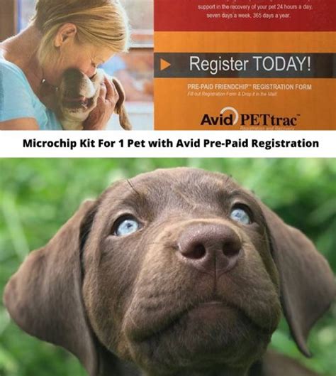 Avid Microchip Kit with Registry for Pet - Avid PETtrac Pre-Paid ...