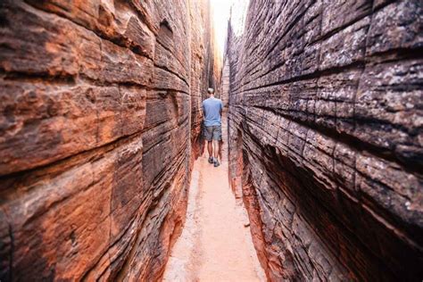 Hike to a slot canyon containing ancient petroglyphs that are thousands of years old in Snow ...