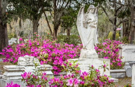 Bonaventure Cemetery | Visit Savannah