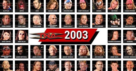 NWA-TNA Roster in 2003: Full List of Wrestlers, Teams, Champions