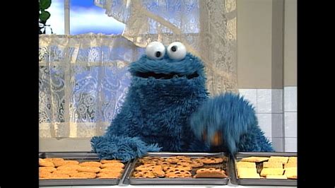 Sesame Street - Cookie Monster - It's Important