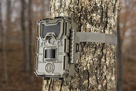 Top 10 Best Hunting Cameras in 2021 | Trail Camera