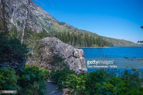 66 Jenny Lake Trail Stock Photos, High-Res Pictures, and Images - Getty Images