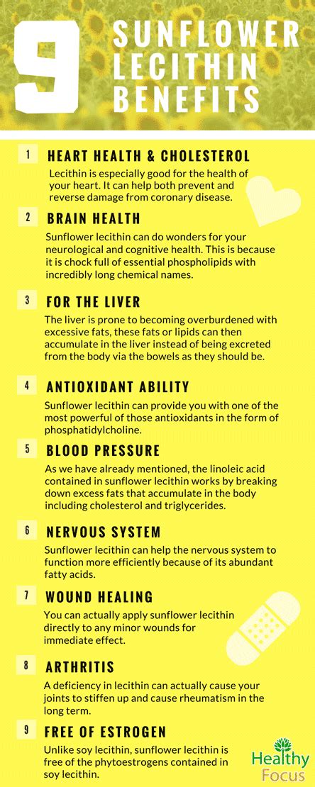 12 Sensational Sunflower Lecithin Benefits-(2019 Tips) - Healthy Focus