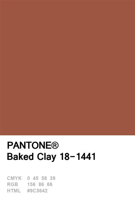 Pantone Baked Clay 18-1441 Colour of The Day 01 January Pantone Palette, Pantone Colour Palettes ...