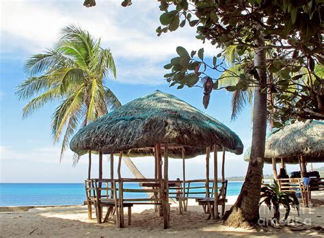 A beach cottage Photograph by Tony Magdaraog | Fine Art America