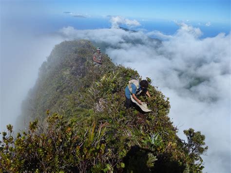 MOVECLIM: Scientific helicopter expedition to the top of the island of Tahiti, July 2015