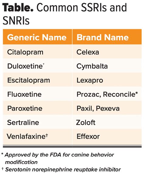 Is Zofran Toxic To Dogs