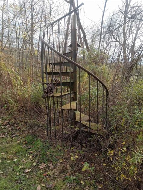 Staircase to nowhere in the middle of the woods : r/Weird