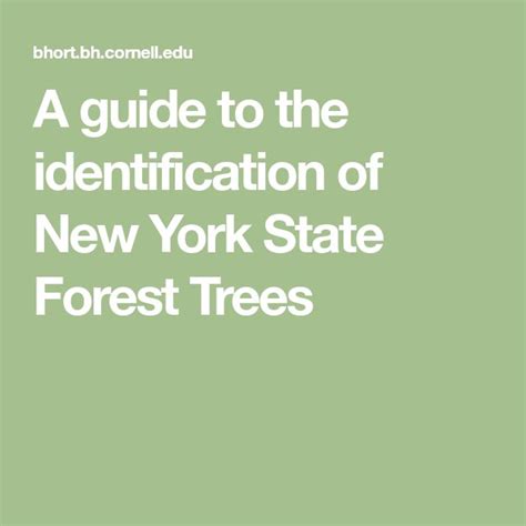 A guide to the identification of New York State Forest Trees | State ...