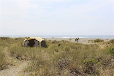 Gold Bluffs Beach Campground | Outdoor Project