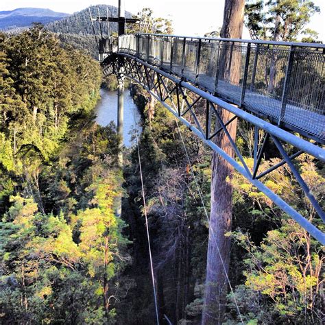 Tasmania - Tahune Airwalk | Tasmania, Places, Photo