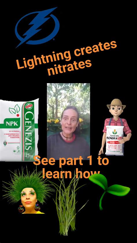 Nitrogen supports leafy green growth - lightning creates nitrates - nitrates help your garden ...