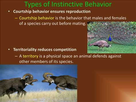 PPT - Animal Behavior PowerPoint Presentation, free download - ID:2739287