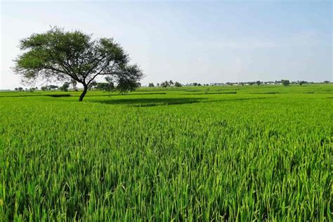 How to Buy Agriculture land in India