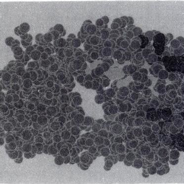 Computer-generated model of the F(ab) fragment of an antibody ...