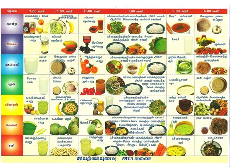 diet chart - Clip Art Library