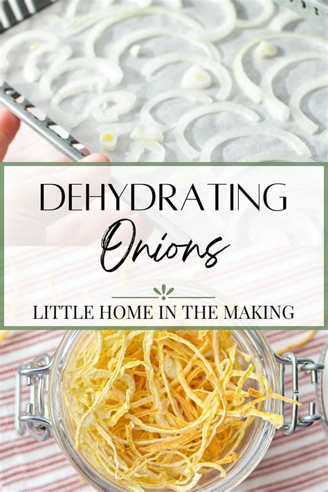 Dehydrating Onions (Complete Guide) - Little Home in the Making