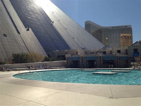 Oasis Pool - Hotels & Travel - The Strip - Las Vegas, NV - Reviews - Photos - Yelp